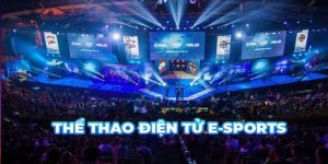 Cá cược Esports